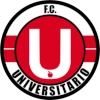 Universitario de Vinto