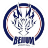 Bellu Yongin University
