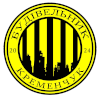 Budivelnyk Kremenchuk