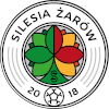 Silesia Zarow