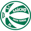 Gaucho Passo Fundo U20