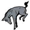 Muhlenberg Mules