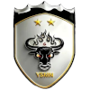 Qinghai Yushu Yak