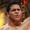 Bruno Fernando