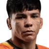 Diego Pato