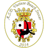 Vastese