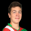 Balazs Lei