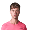 Dino Prizmic