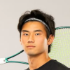Henrique Hamamoto Ushizima