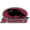 Southern Illinois Salukis (Women)