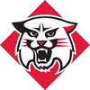 Davidson Wildcats (Women)