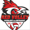 Red Friedlant
