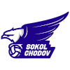Sokol Chodov A