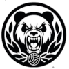 Panda D Manchete U21
