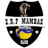 Black Mambas