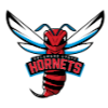 Delaware State Hornets (Women)