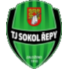 Sokol Repy D