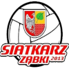 Siatkarz Zabki