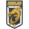 Hong Kong Dragons