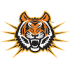 Idaho State Athletics (Women)
