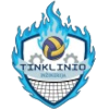 Tinklinio Inzinerija