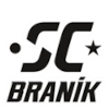 Branik B