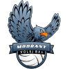 Modrany A