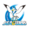 Okayama Seagulls (Women)