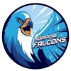 AdU Falcons (Women)