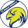 Sokol Stezery