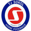Sokol Horní Pocernice A