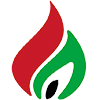 Plomien Sosnowiec (Women)