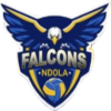 Falcons