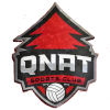 Knat