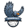 Modrany C