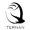 Flogboltsfelagid Ternan (Women)