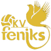 Feniksi