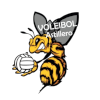 Voleibol Astillero (Women)