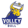 Voleybul Beograd (Women)