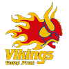 Vikings Volei Prat Blanc