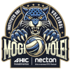 Mogi